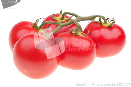 Image of Vine tomato