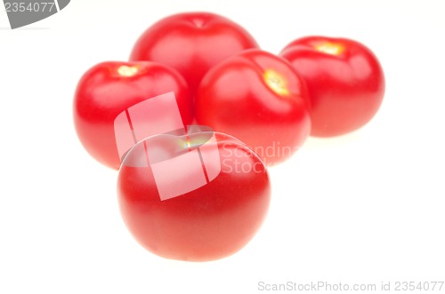 Image of Isolated tomato