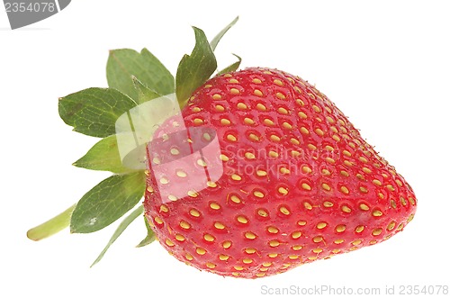 Image of Fresh strawberry