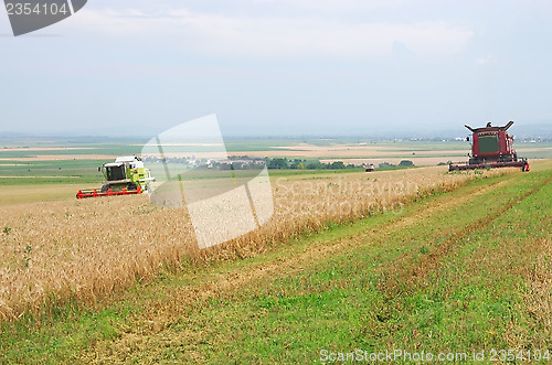Image of Harvest time