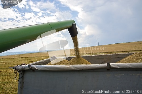 Image of Harvest