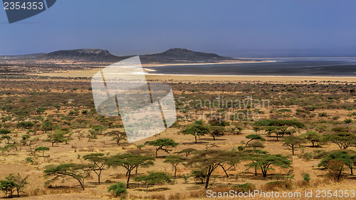 Image of Abyata Lake