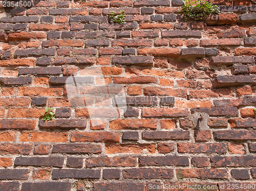 Image of Red bricks