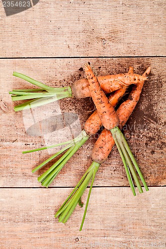 Image of fresh carrots 