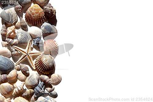 Image of sea shells and star