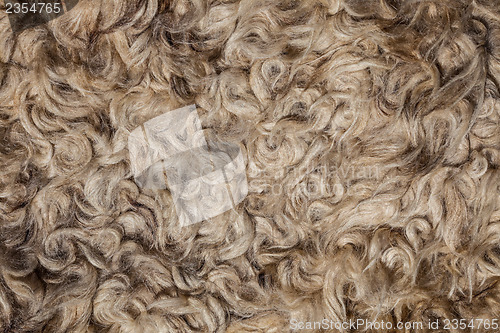 Image of The texture of the fur sheepskin