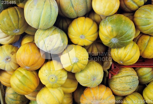 Image of pumpkin