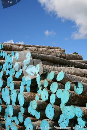 Image of Wood pile
