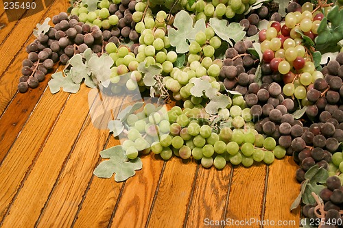 Image of Grapes