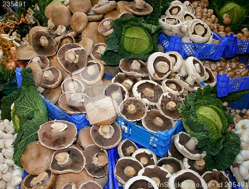 Image of Mushrooms assortments