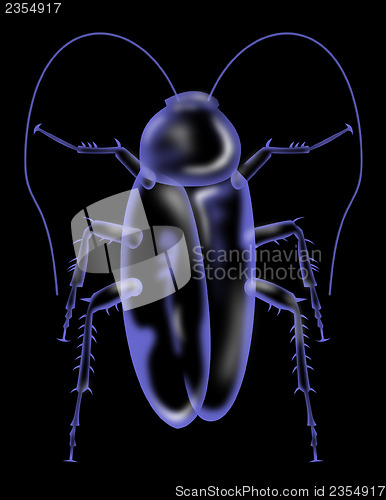 Image of cockroach silhouette