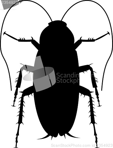 Image of cockroach silhouette