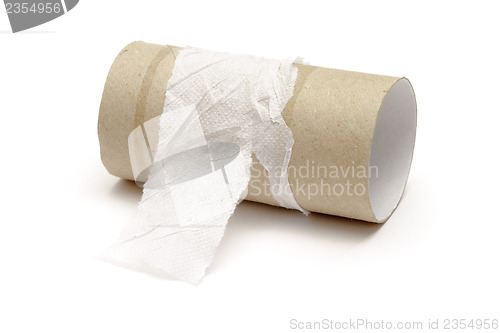 Image of Empty toilet paper roll