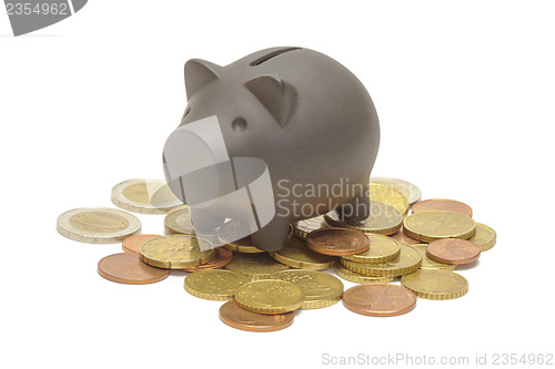 Image of Black piggy bank 