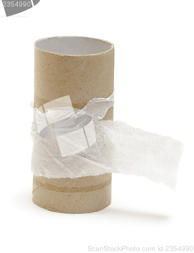 Image of Empty toilet paper roll