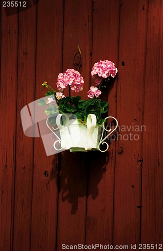 Image of balcony flowers