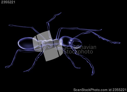 Image of ant silhouette