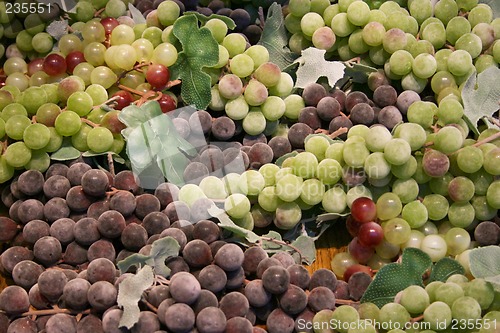 Image of Grapes background