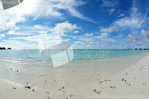 Image of tropical beach