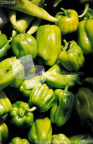 Image of pepper