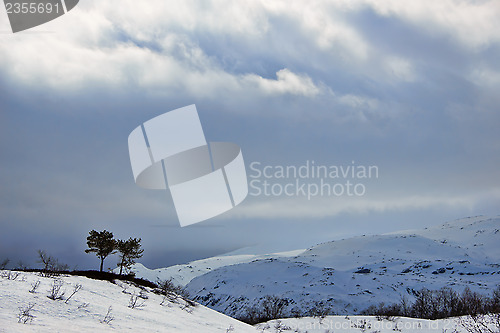 Image of Serene winter landscape