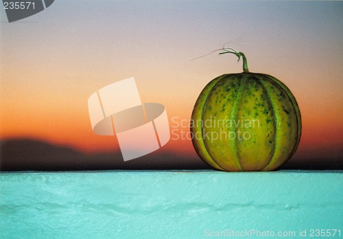 Image of honeydew melon