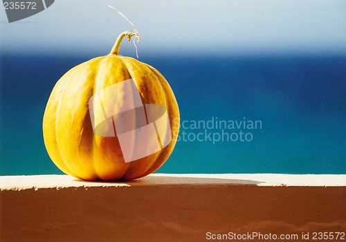 Image of honeydew melon