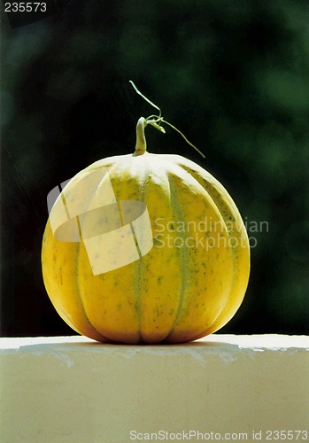 Image of honeydew melon