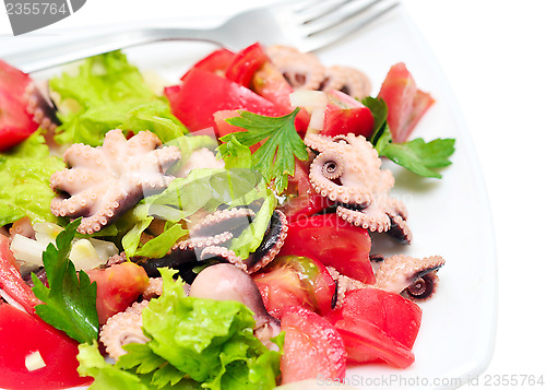 Image of octopus salad