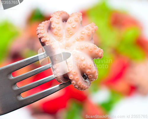 Image of octopus salad