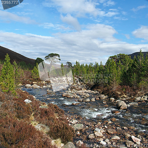 Image of Cairngorms mountains, Gleann Laoigh Bheag, Scotland in spring