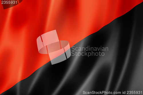 Image of Anarchy flag
