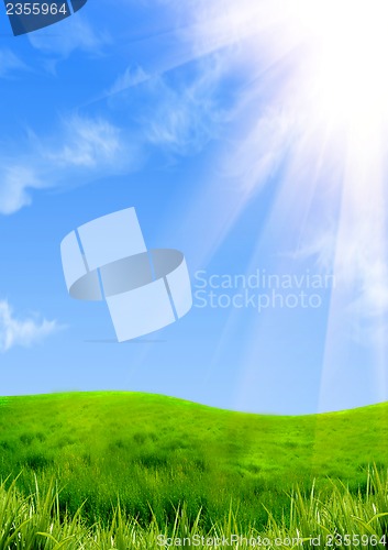 Image of Green grass