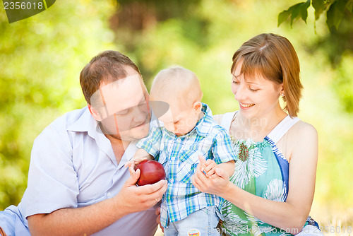 Image of Mom, dad and son have a picnic