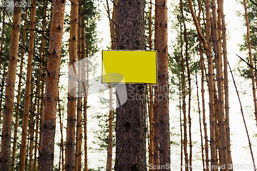 Image of Empty yellow sign on a tree