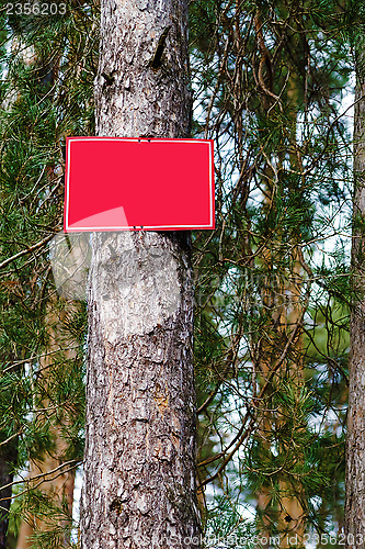 Image of Empty red sign on a tree