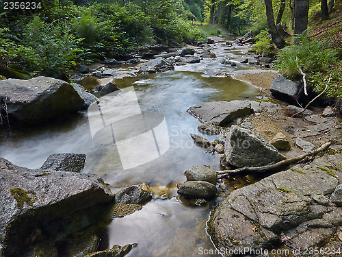 Image of Stream in the forest