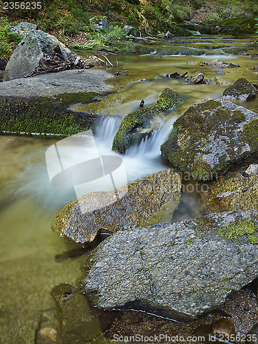 Image of Stream in the forest