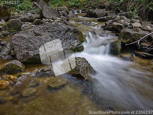 Image of Stream in the forest