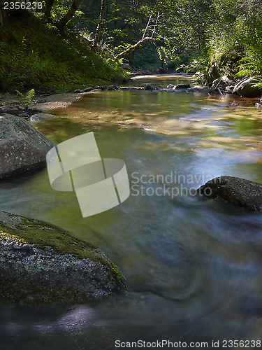 Image of Stream in the forest