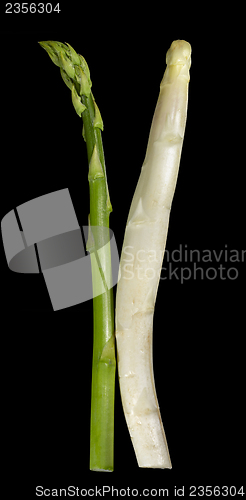 Image of Asparagus