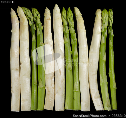 Image of Asparagus