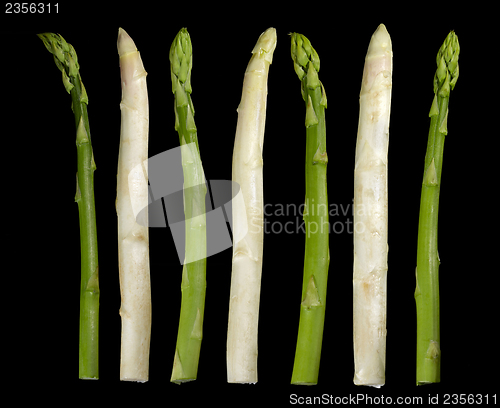 Image of Asparagus