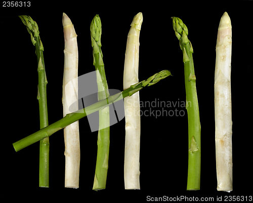 Image of Asparagus