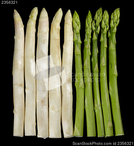 Image of Asparagus