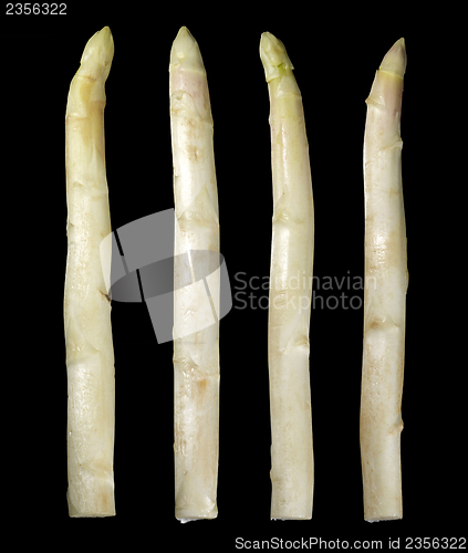 Image of Asparagus