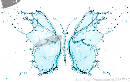 Image of Butterfly splashing water