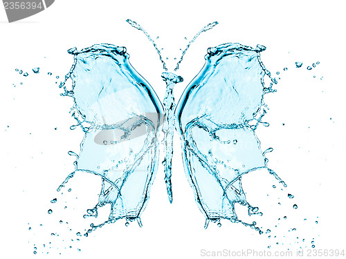 Image of Butterfly splashing water