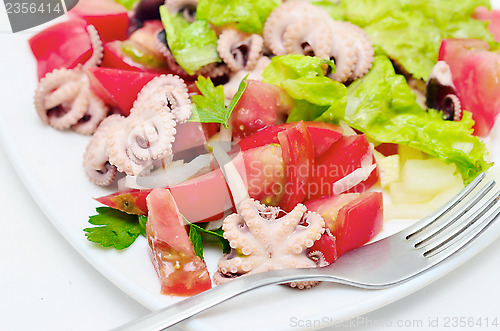 Image of octopus salad