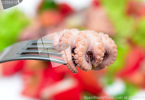 Image of octopus salad